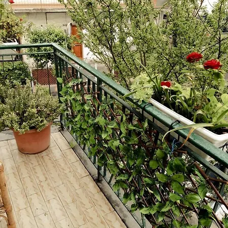 Casa Max 게스트하우스